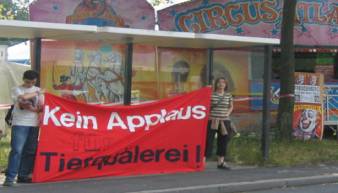 Zirkus mit Tierhaltung? Kein Applaus für Tierquälerei!